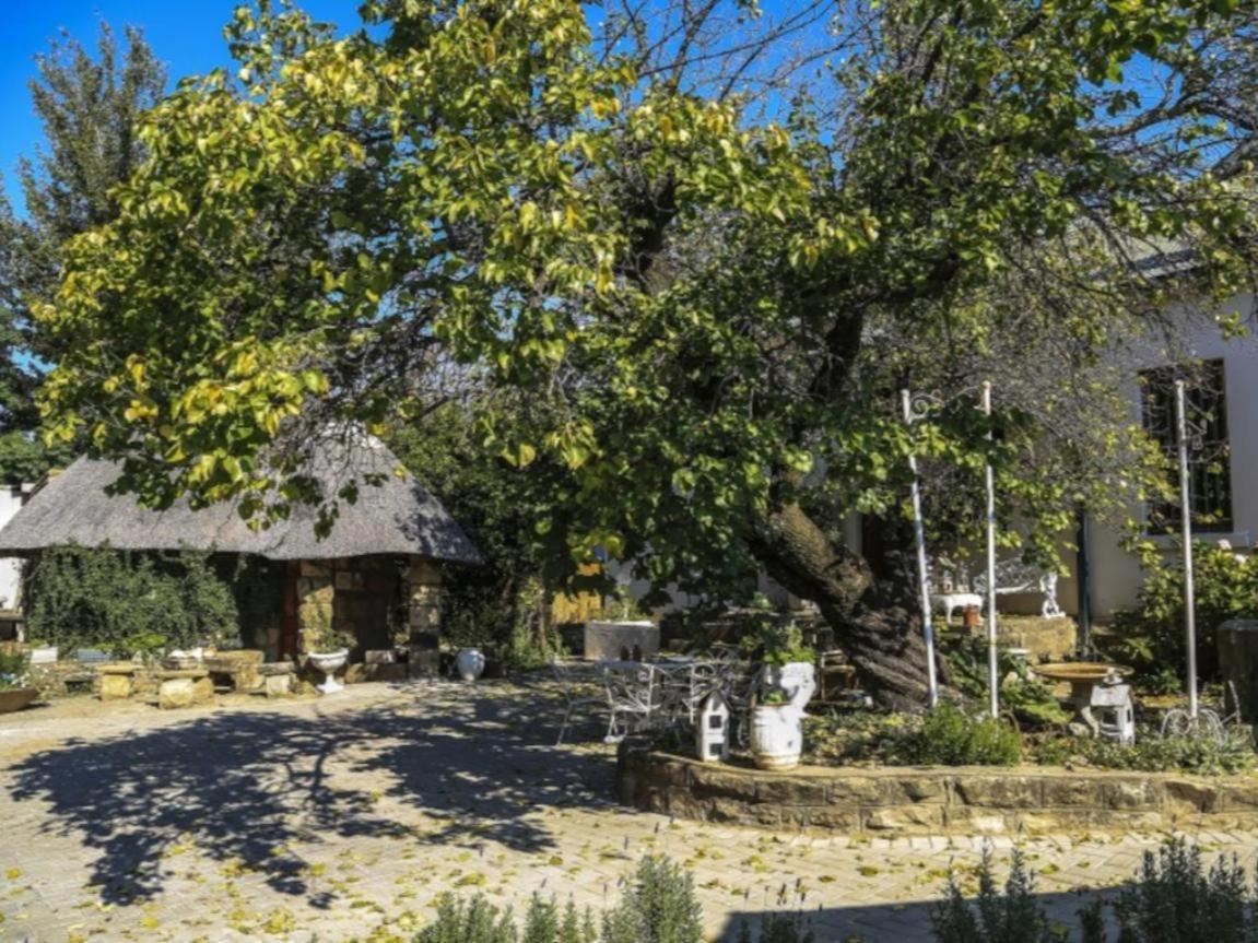 The Green Acorn Guest House Ficksburg Buitenkant foto